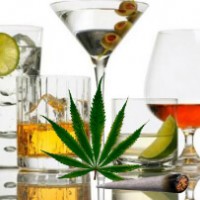 Дискотека алкоголя и марихуаны скачать гидра сайт hydraruzxpnew4af onion hydra2 com