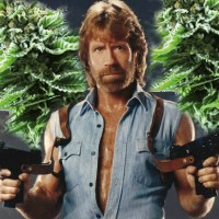 Top Strongest Marijuana Strains of 2019