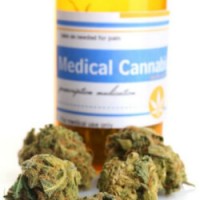 Медицинская марихуана: что о ней известно?