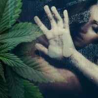 Секс под марихуаной анализ на марихуану обмануть