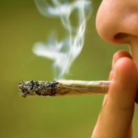 влияние курение конопли на организм человека