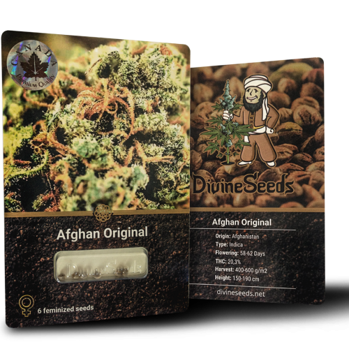 Купить семена Afghan Original
