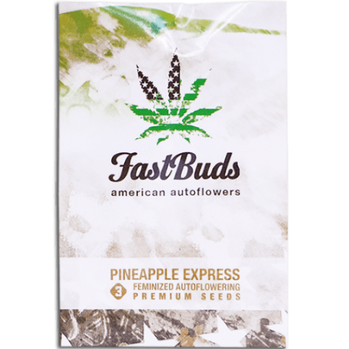 Купить семена Auto Pineapple Express