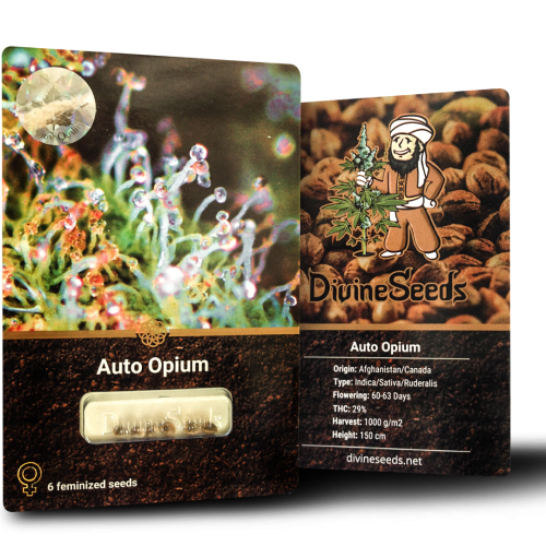 Купить семена Auto Opium