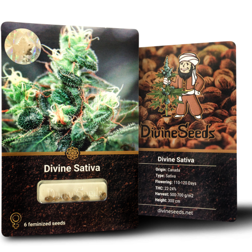 Купить семена Divine Sativa